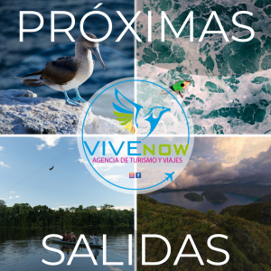 Disfruta con VIVENOW !!!